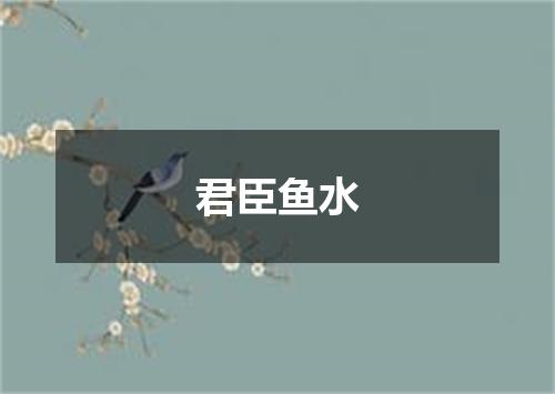 君臣鱼水