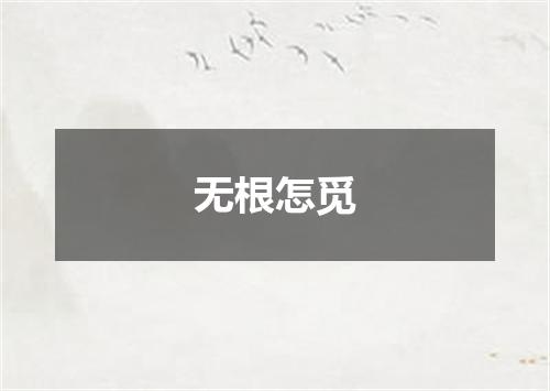 无根怎觅