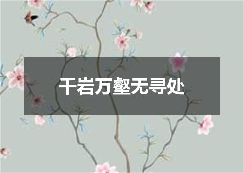 千岩万壑无寻处