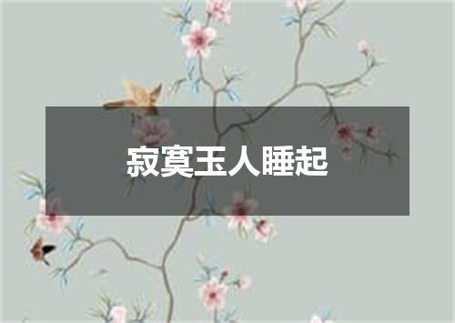 寂寞玉人睡起
