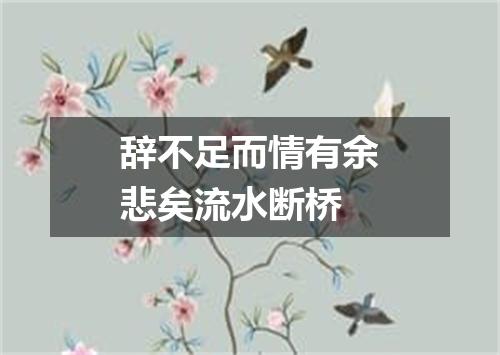 辞不足而情有余悲矣流水断桥