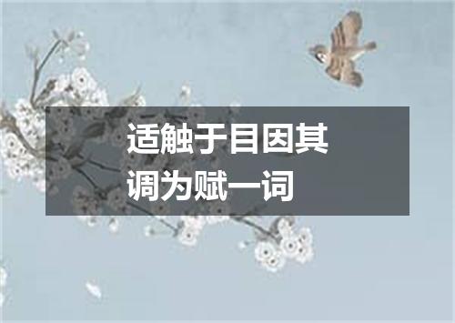 适触于目因其调为赋一词