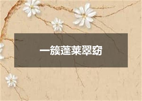 一簇蓬莱翠窈