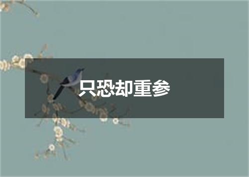 只恐却重参