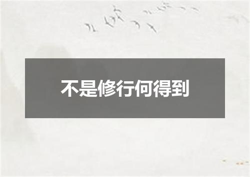 不是修行何得到