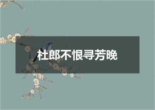 杜郎不恨寻芳晚