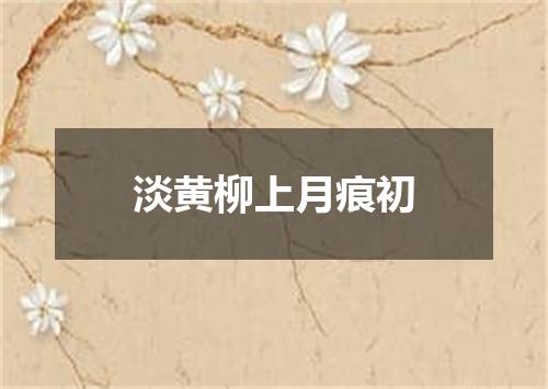 淡黄柳上月痕初