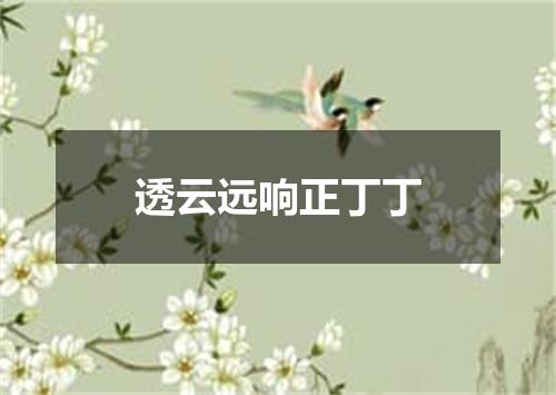 透云远响正丁丁