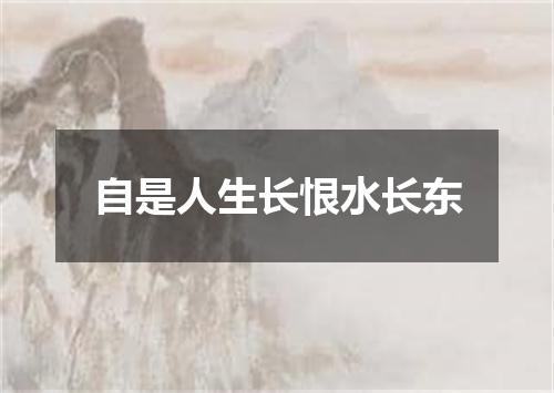 自是人生长恨水长东