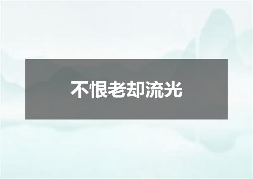 不恨老却流光