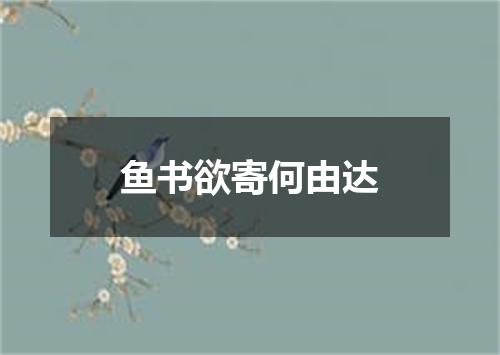 鱼书欲寄何由达