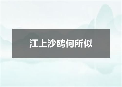 江上沙鸥何所似