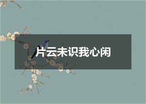 片云未识我心闲