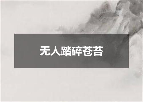 无人踏碎苍苔