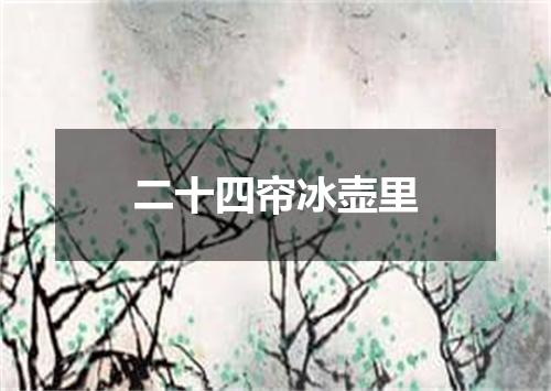 二十四帘冰壶里