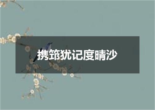 携筇犹记度晴沙
