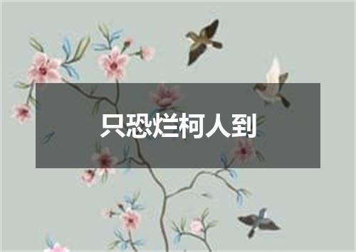 只恐烂柯人到