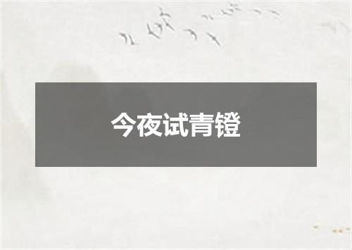 今夜试青镫