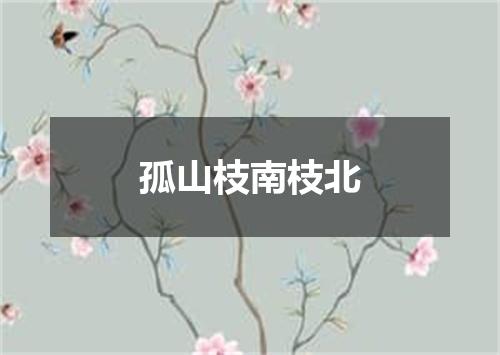 孤山枝南枝北