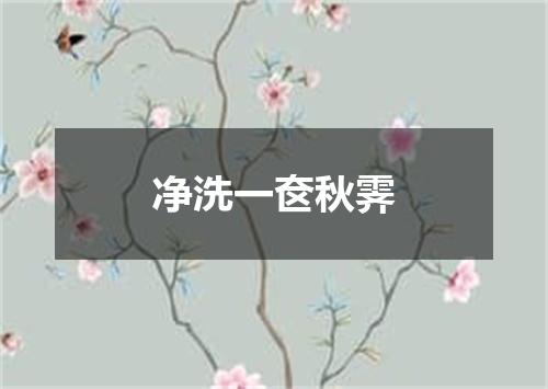 净洗一奁秋霁