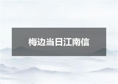 梅边当日江南信