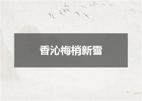 香沁梅梢新雪