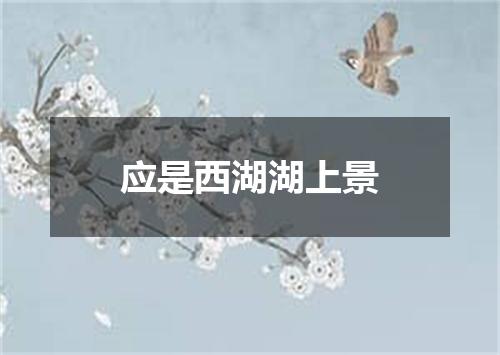 应是西湖湖上景
