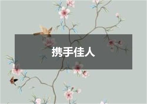 携手佳人