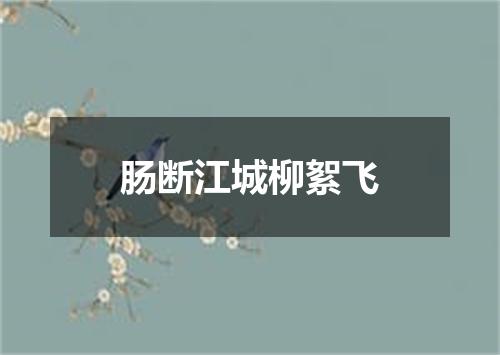 肠断江城柳絮飞
