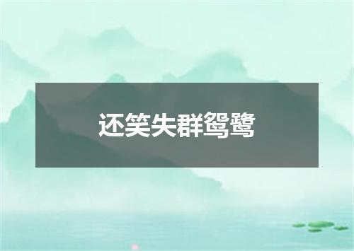 还笑失群鸳鹭