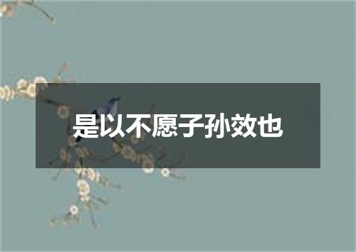 是以不愿子孙效也