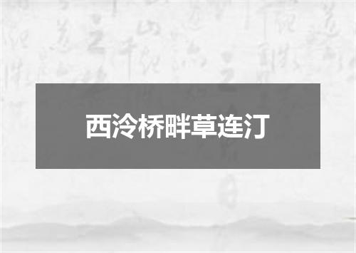 西泠桥畔草连汀