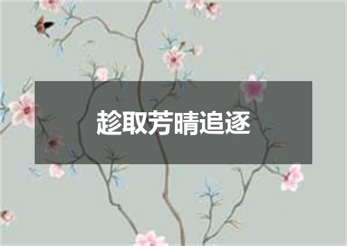 趁取芳晴追逐