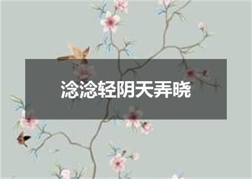 淰淰轻阴天弄晓