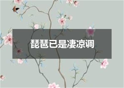 琵琶已是凄凉调