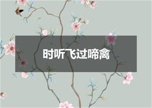 时听飞过啼禽