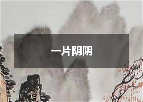 一片阴阴