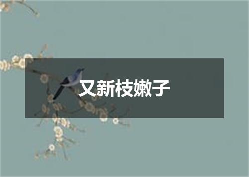 又新枝嫩子