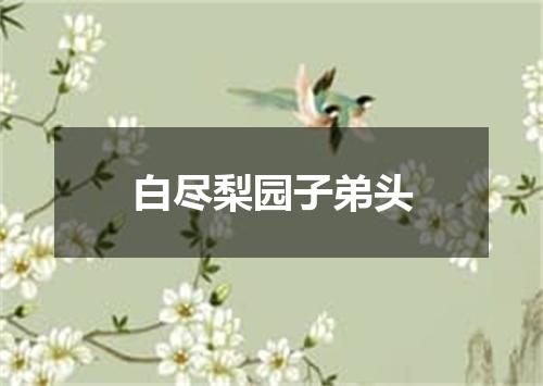 白尽梨园子弟头