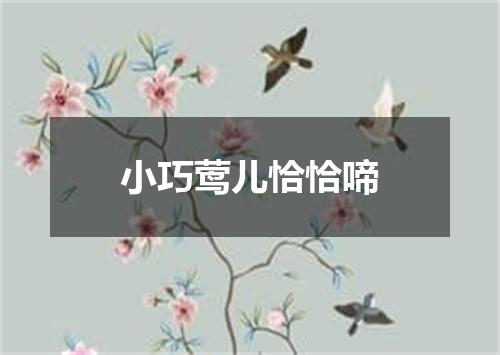 小巧莺儿恰恰啼