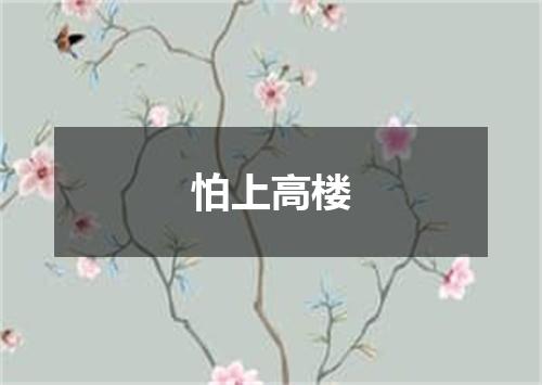 怕上高楼