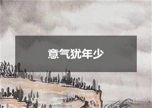 意气犹年少