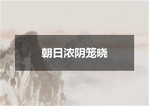 朝日浓阴笼晓