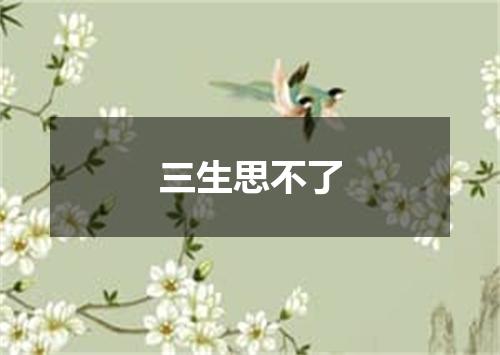 三生思不了