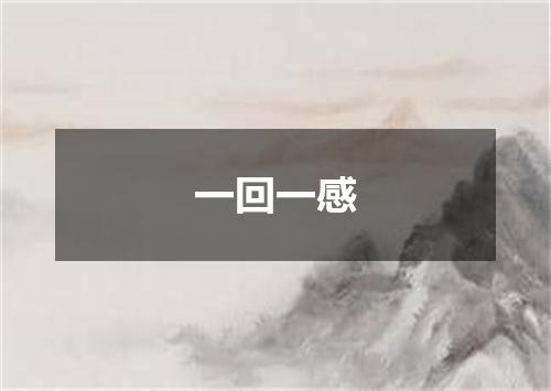 一回一感