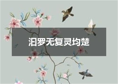 汩罗无复灵均楚