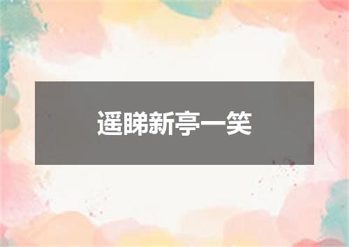 遥睇新亭一笑