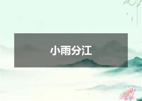 小雨分江