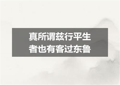 真所谓兹行平生者也有客过东鲁