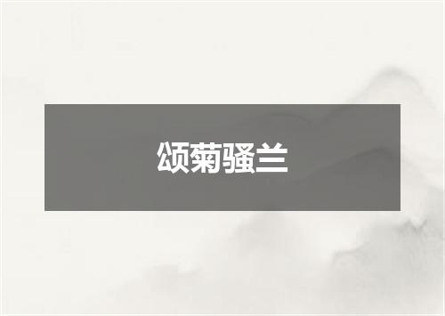 颂菊骚兰
